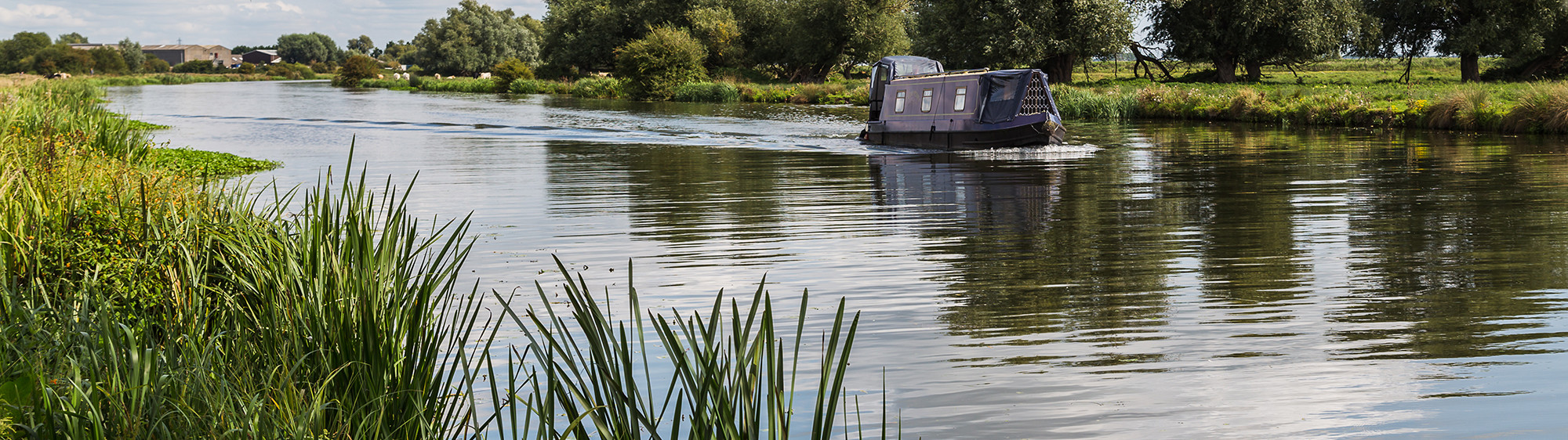 ely river